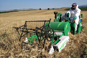 Harvest with plot-mini combine